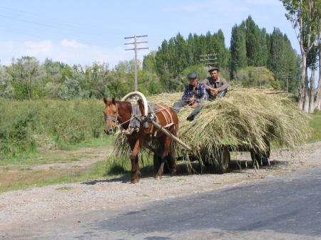 le cheval ...l'animal "roi" pour le Kirghize!